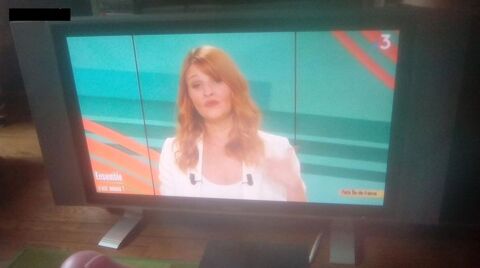 TV 42 pouces 100 Beauchamp (95)