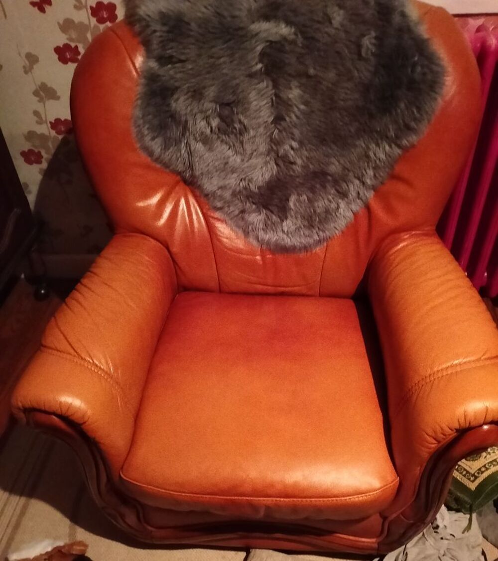 Deux fauteuils bon &eacute;tat Meubles