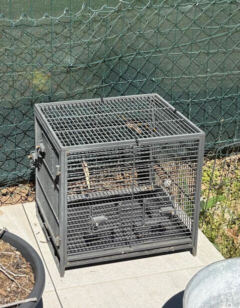 Cage &agrave; oiseaux. Occasion. 20 01290 Cormoranche-sur-sa�ne
