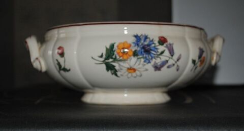 Soupi�re fa�ence Sarreguemines Agreste 0 Saint-Pierre-de-B�uf (42)