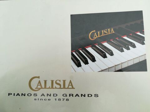 PIANO DROIT RAPSODIA 0 Marly (59)
