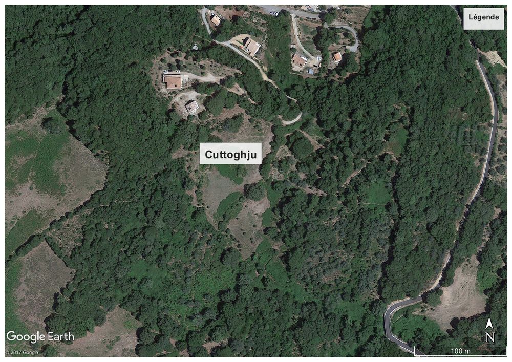 Vente Terrain 2 terrains de 8 000 m² chacun avec PC purgé proche Ajaccio Azilone-ampaza