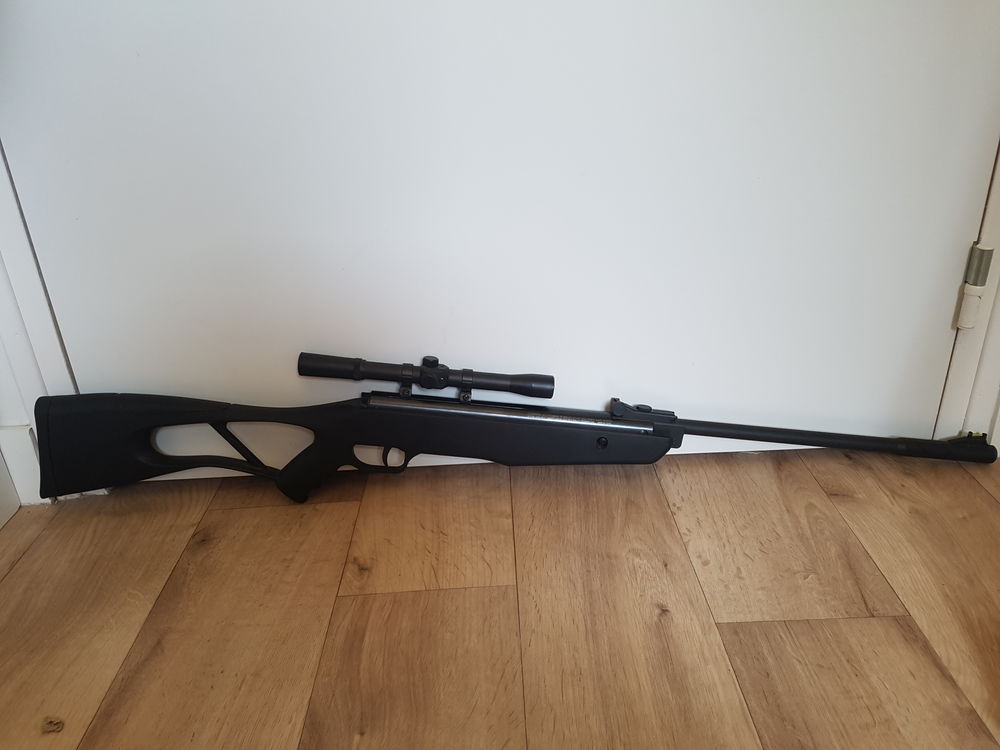 carabine a air comprim&eacute; Sports