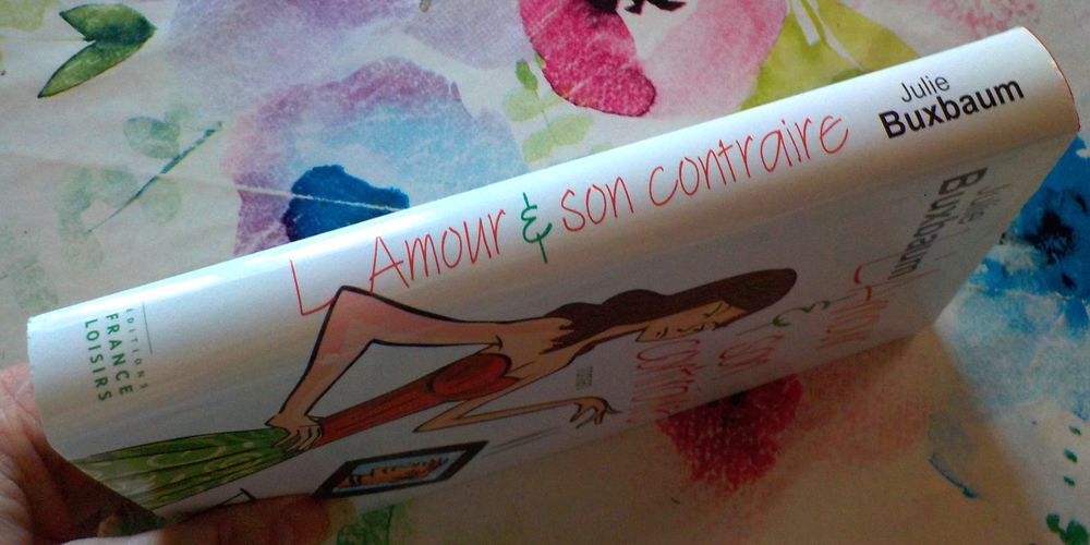 L'AMOUR &amp; SON CONTRAIRE de Julie BUXBAUM Ed. France Loisirs Livres et BD