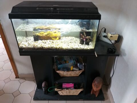 Aquarium tout quip complet avec meuble de rangement plus l 100 Luc (28)