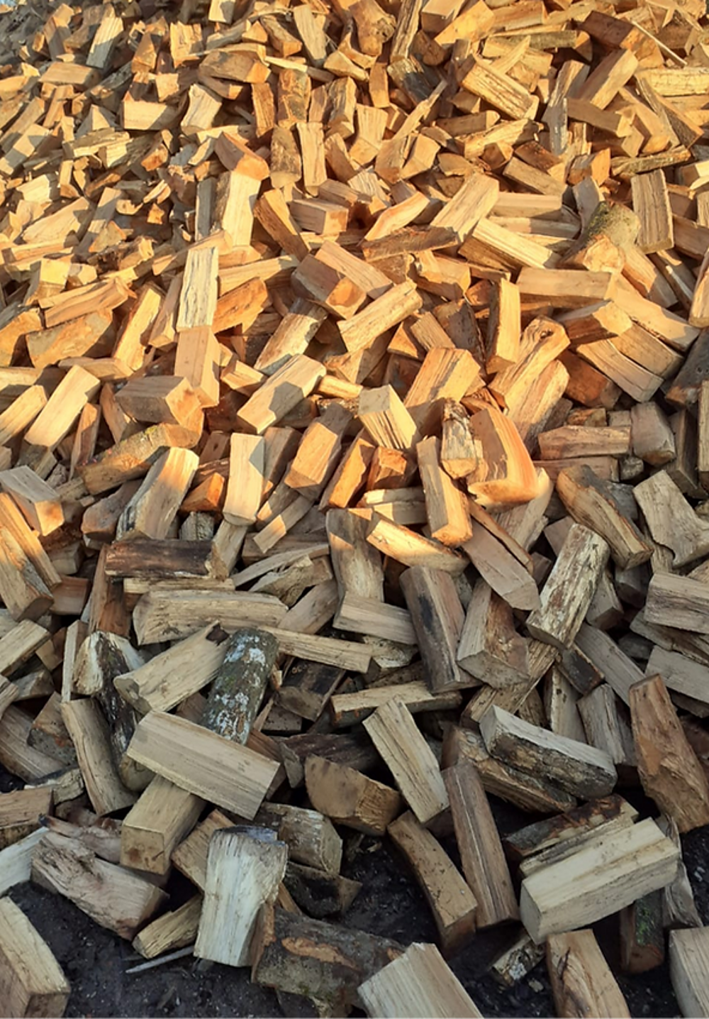 Bois de chauffage Chene Bricolage