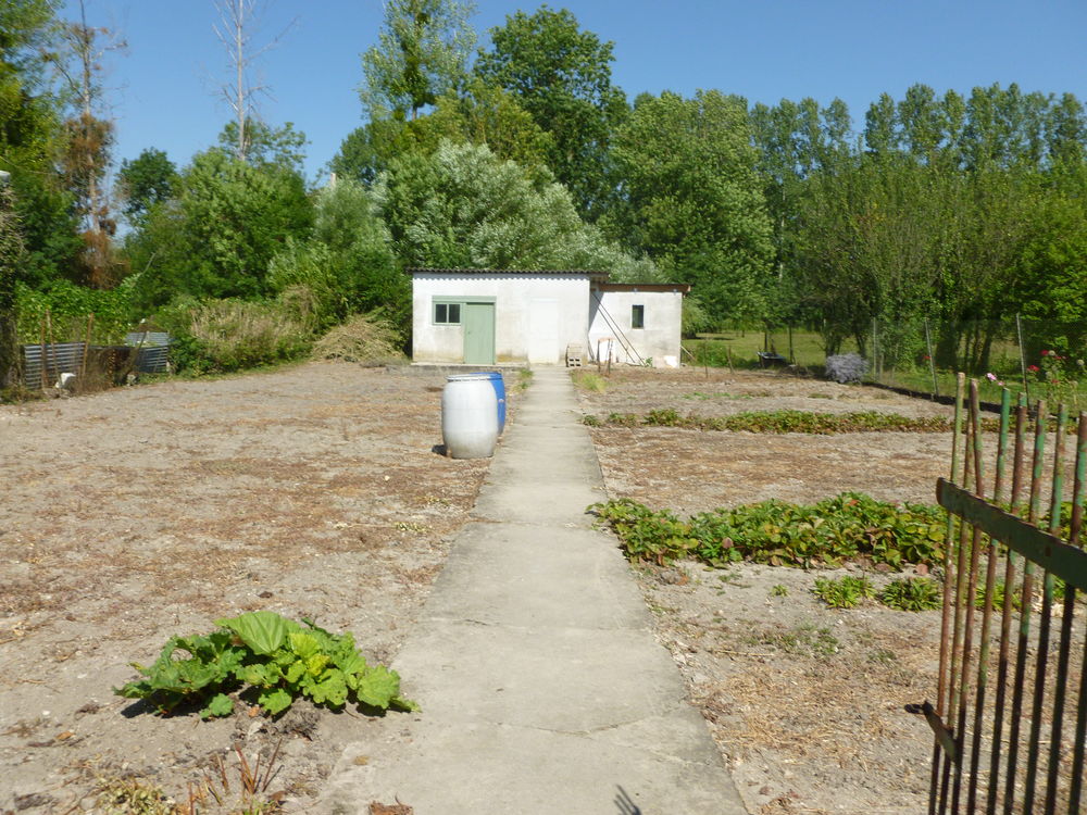 JARDIN POTAGER Jardin