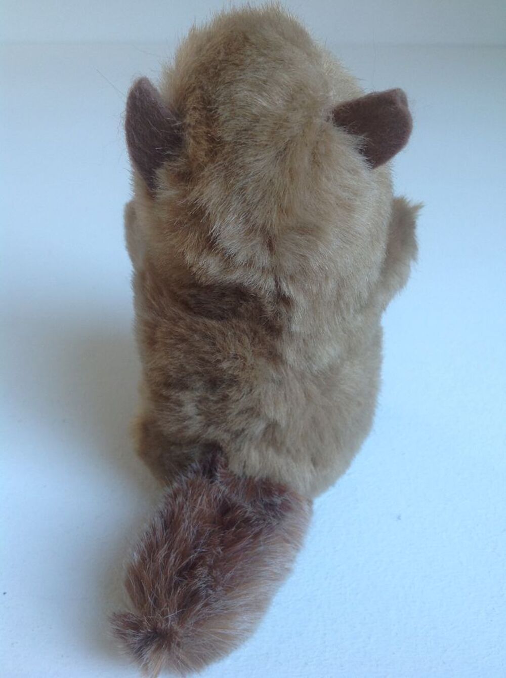 &Eacute;CUREUIL EN PELUCHE Envoi Possible
Jeux / jouets