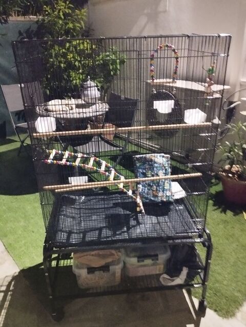 grande Cage &agrave; oiseaux neuve.. 80 34270 Sainte-croix-de-quintillargues