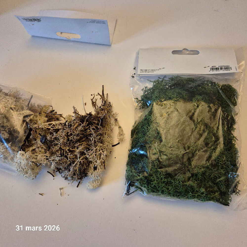 Mousse ou lichen d"Islande , vert fonc&eacute; et naturelle, 100 gr Jeux / jouets