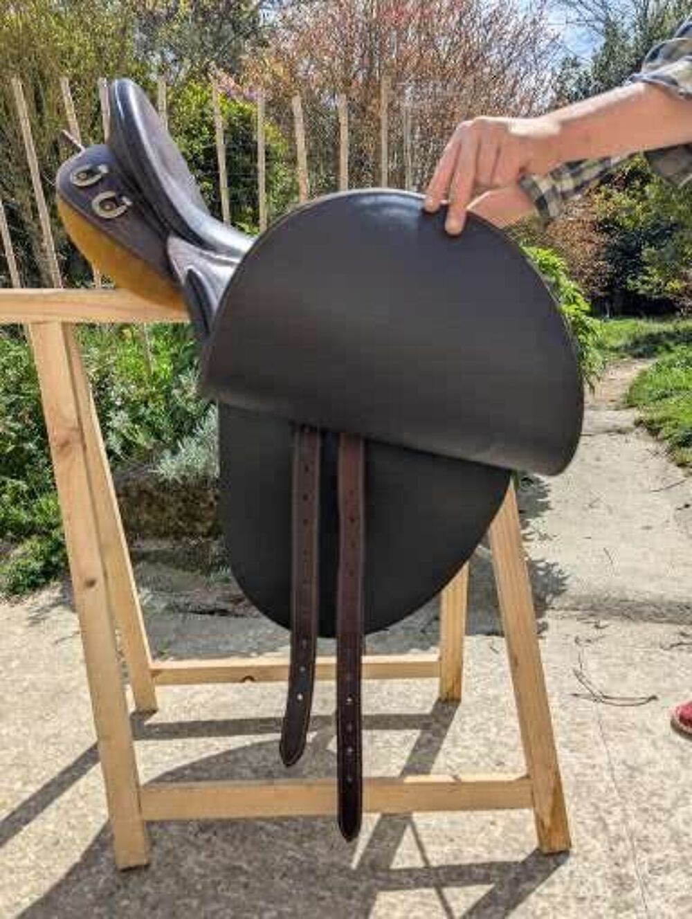 Selle australienne Sports