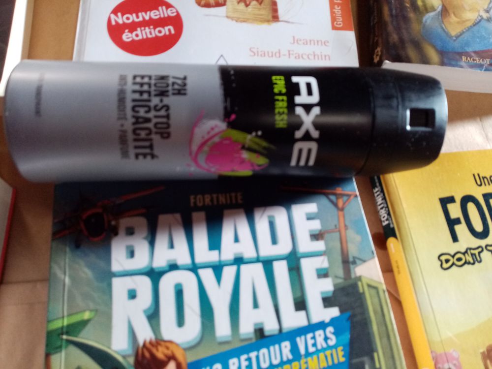 livre divers EINSTEIN fornite balade royale Livres et BD