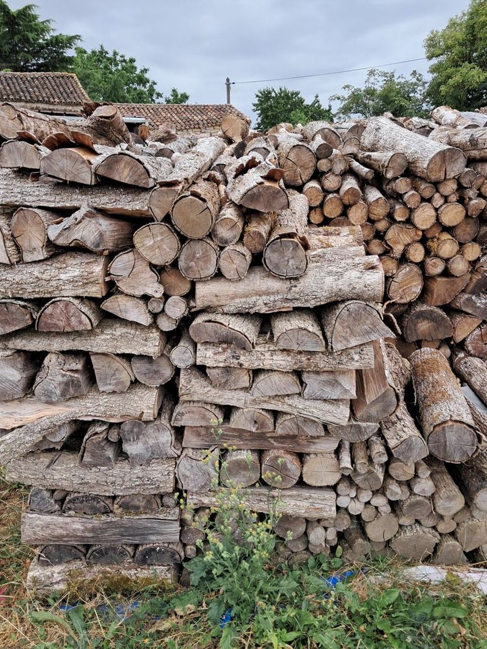 Bois de chauffage Bricolage