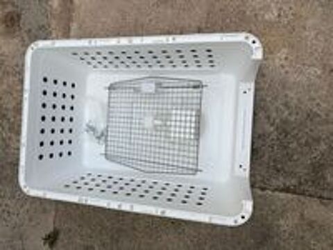   D'UNE CAGE DE TRANSPORT IATA POUR CHIEN, 