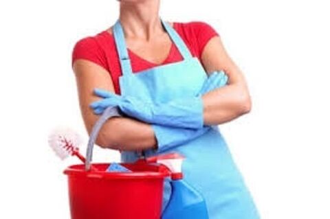 Femme de ménage - Douvaine et alentours 0 74140 Douvaine