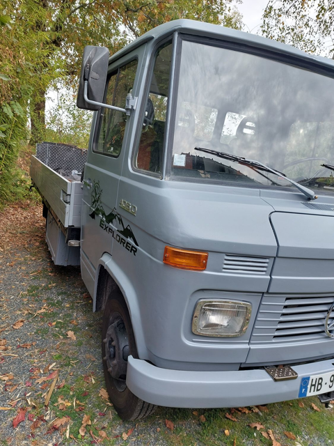 Peugeot Divers L 406DGA 1973 occasion Guizengeard 16480