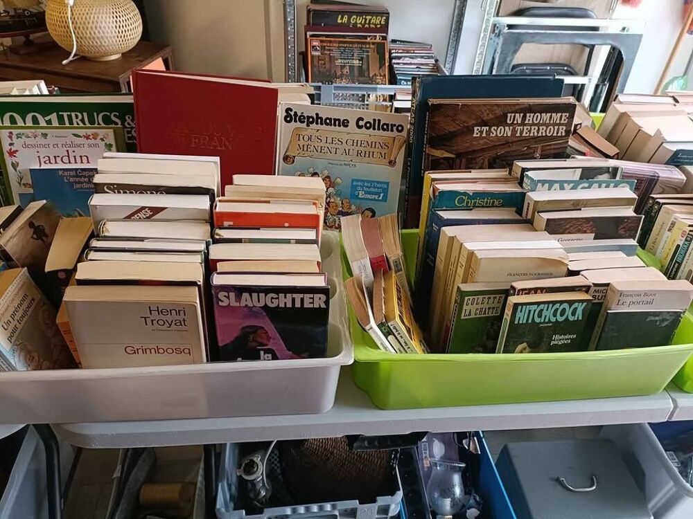 Foire aux Livres Livres et BD