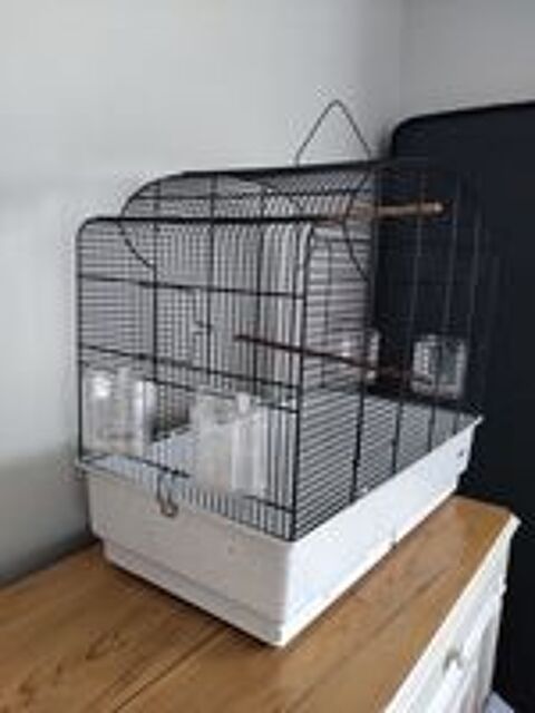   Cage oiseaux Canto  