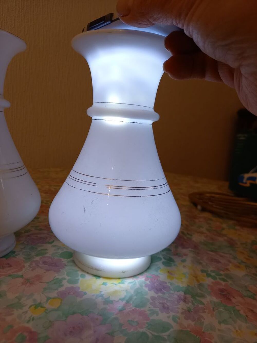 PAIRES VASES EN OPALINES NAPOLEON III Décoration