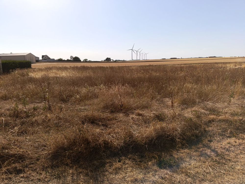 Vente Terrain TERRAIN 3 980 m² - TORVILLE (45) Guigneville