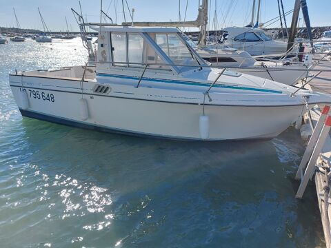 Bateaux &agrave; moteur P&ecirc;che-promenade 1991 occasion Blois 41000