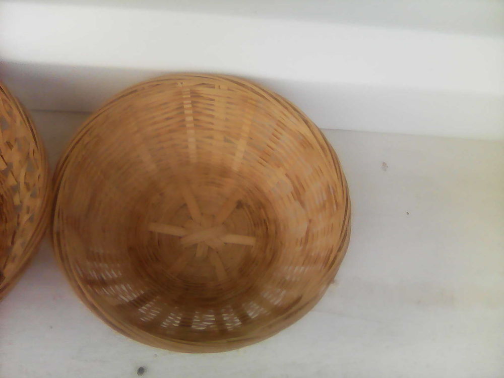 Donne Godets horticoles Bricolage