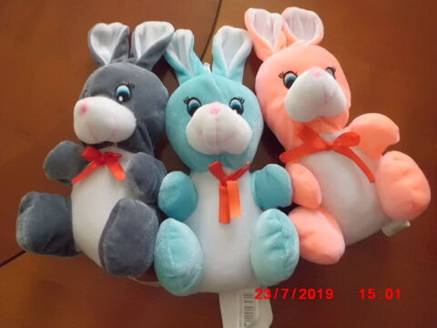 LOT 3 LAPINS SANDY 15 Oignies (62)