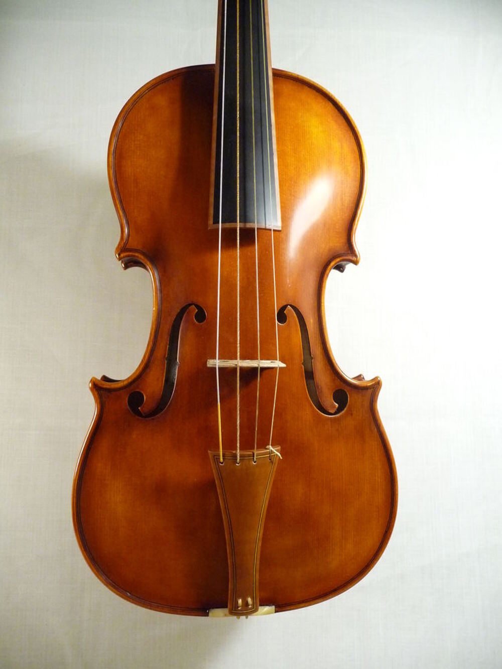 Violon de concert Instruments de musique