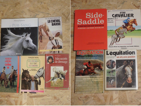Livres sur les chevaux et l'quitation 5 Cheminas (07)