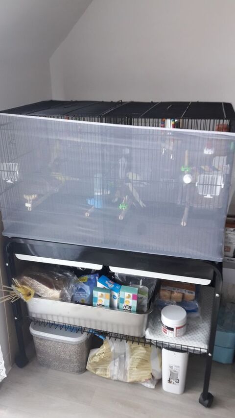 CAGE DOUBLE SUR TABLE A ROULLETTES + 8 CANARIS + ACCESSOIRES 450 60410 Verberie