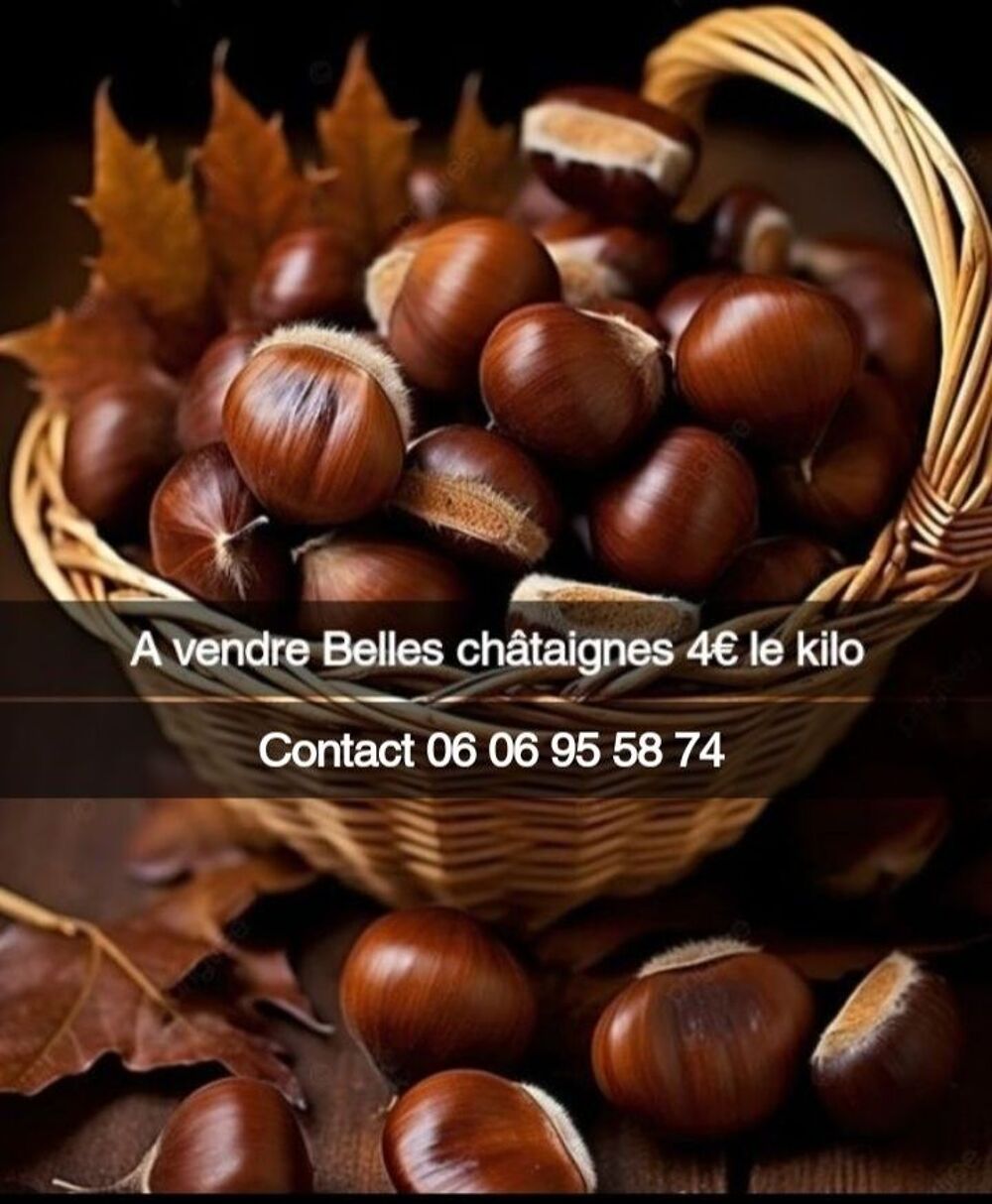 Belles ch&acirc;taignes Jardin