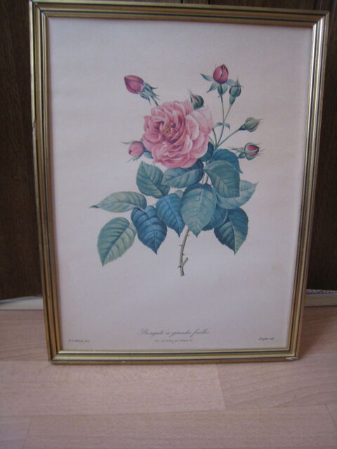 Tableau- (NH78) 10 Versailles (78)