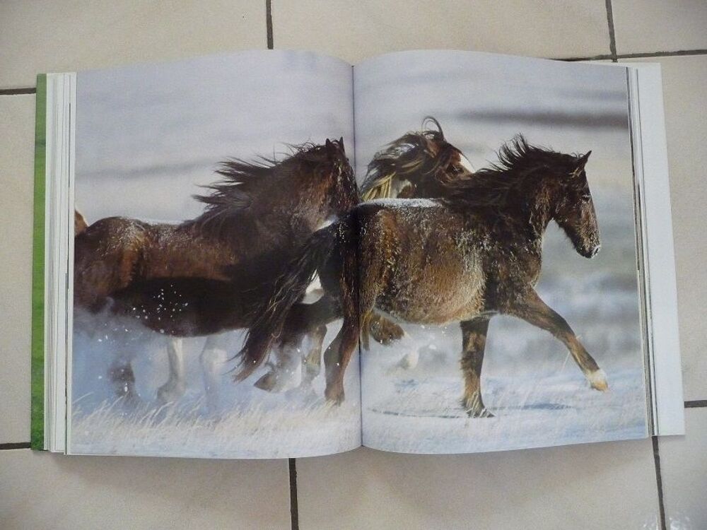 Livre Chevaux du monde - N E U F Livres et BD
