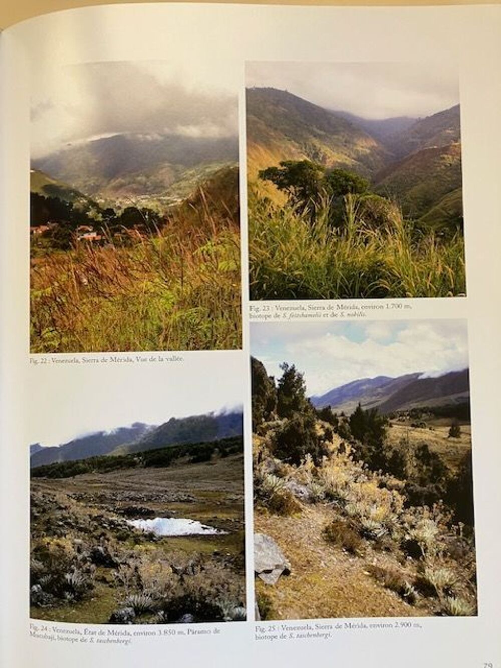 Les Chiasognathinae des Andes Livres et BD