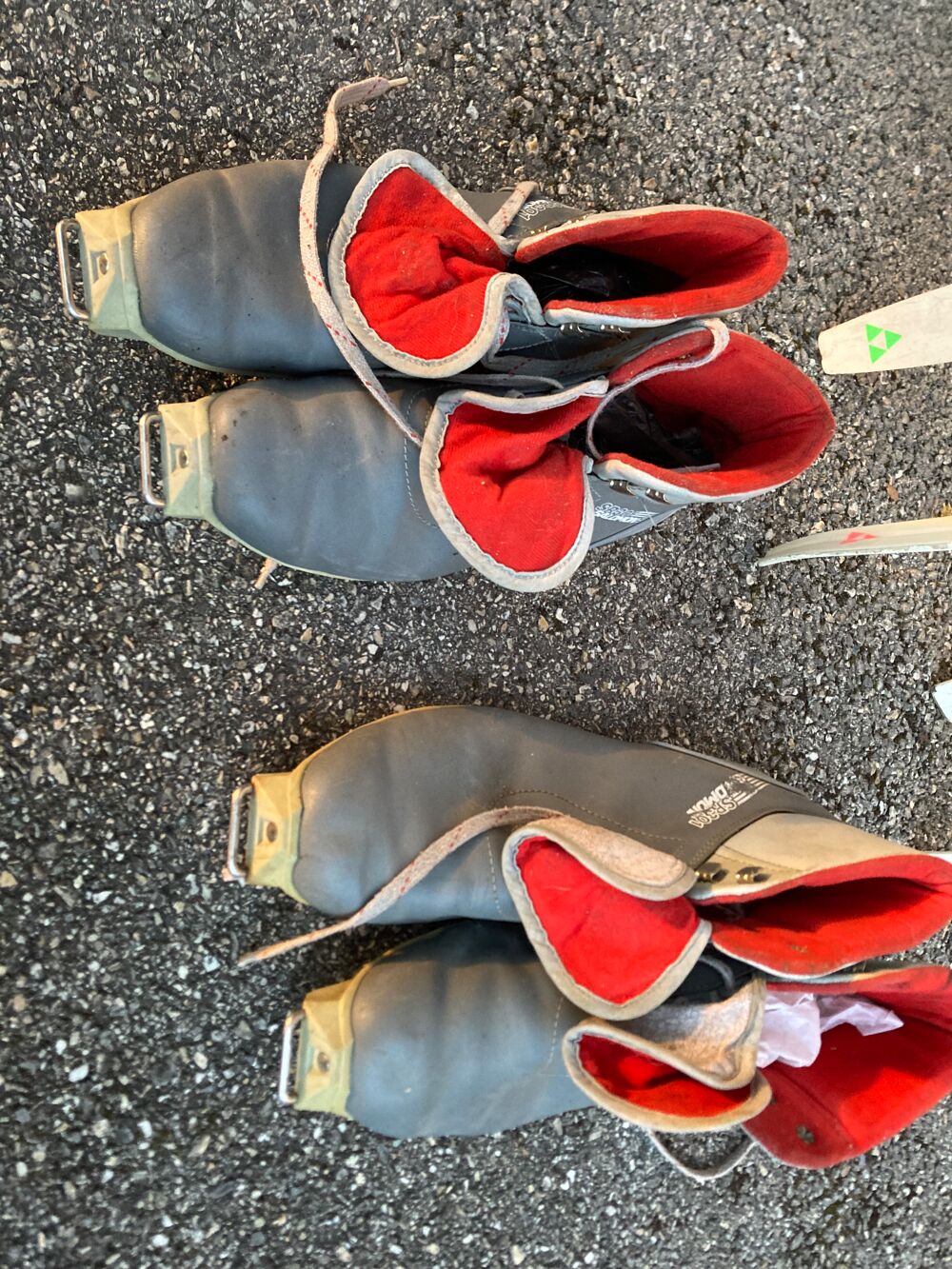 Ski de fonds micro &eacute;cailles fixations et chaussures Salomon Sports