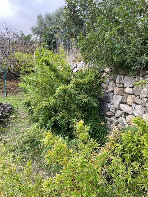 RÉSOLVEZ VOS CONFLITS DE VOISINAGE ET DE COPROPRIETE 0 13008 Provence alpes cote d'azur