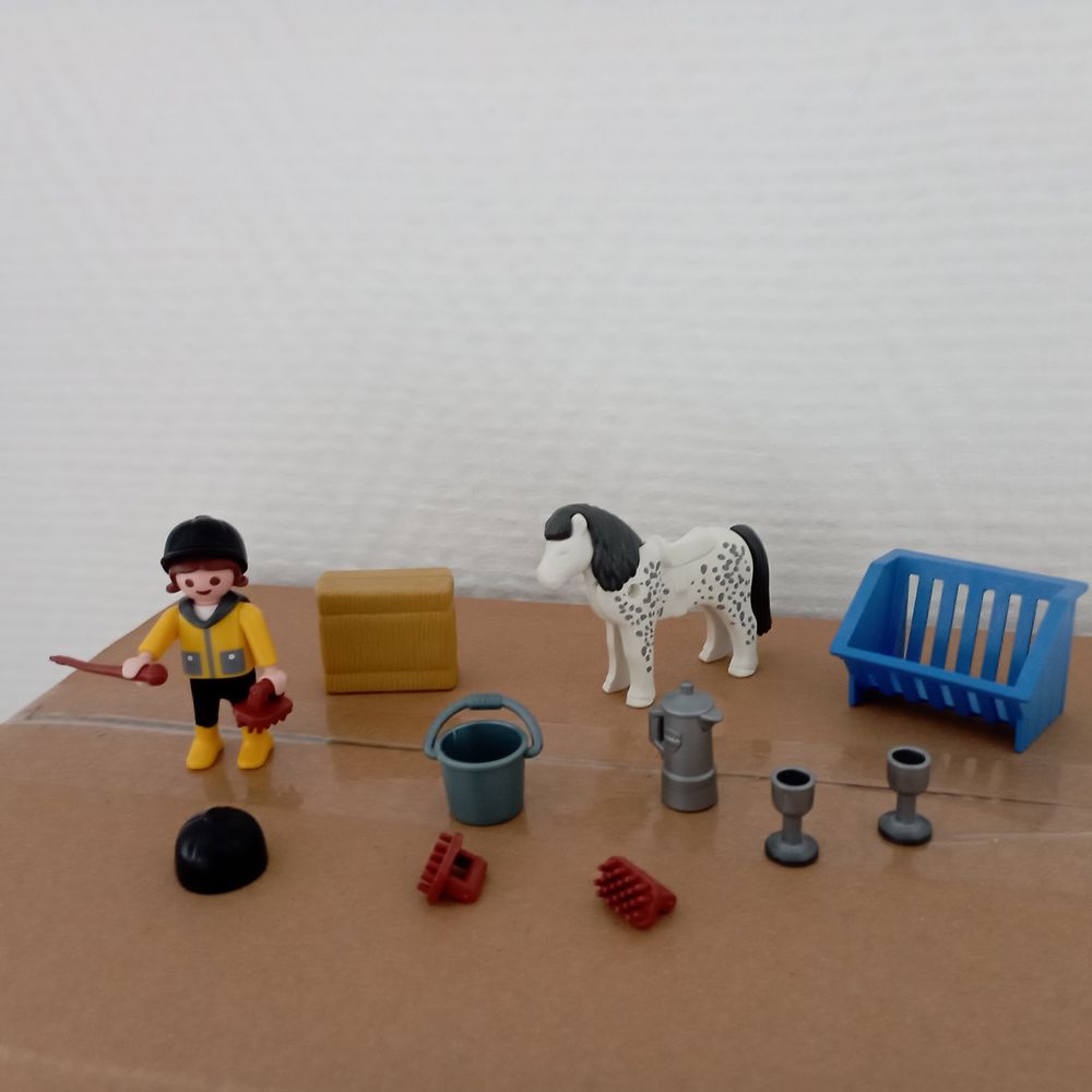 Play mobil Jeux / jouets