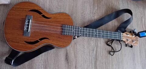 Ukull tat neuf 55 Bonnay (71)