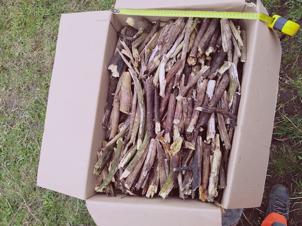 Petit bois d'allumage Jardin