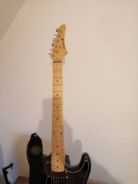 Cause dmnagement. guitare type stratocaster 180 Somain (59)