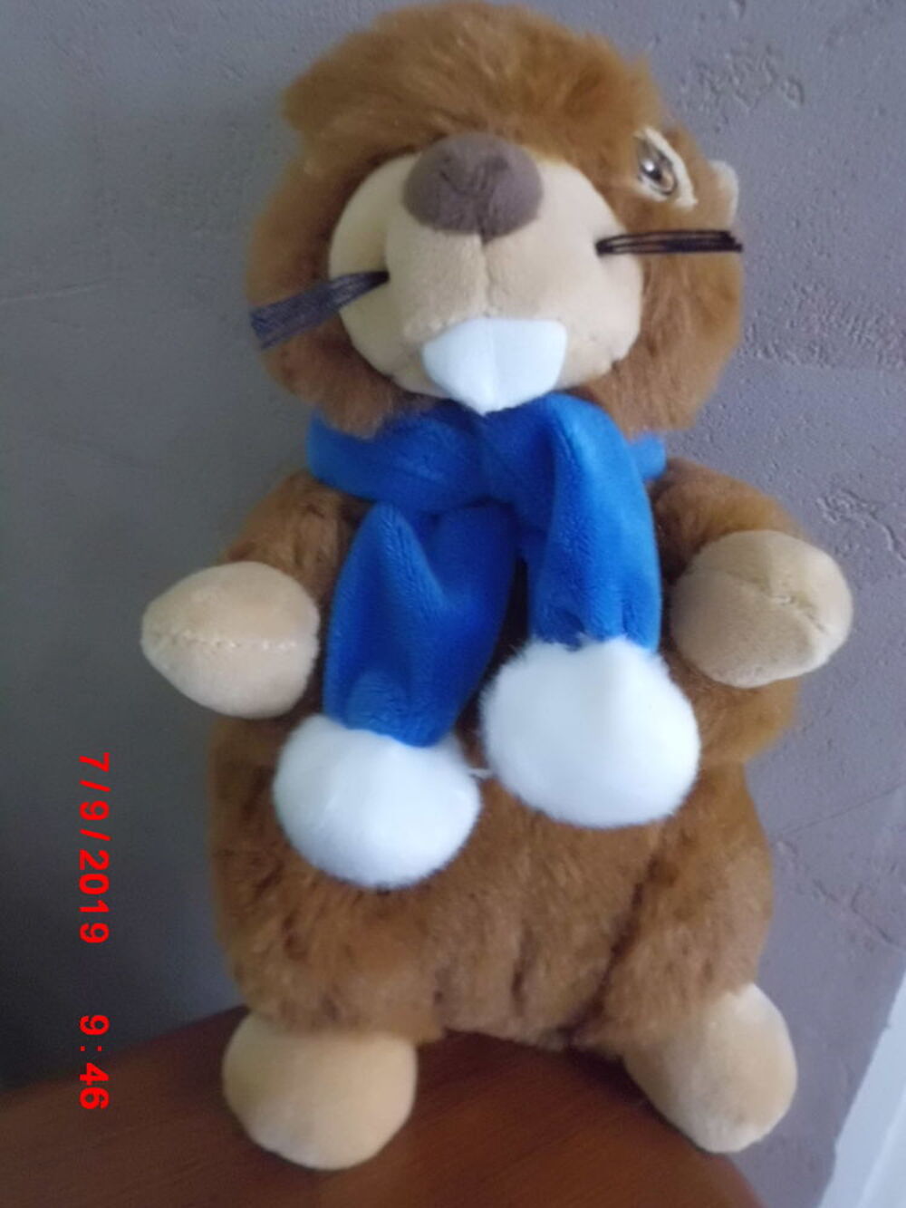 MARMOTTE SANDY Jeux / jouets