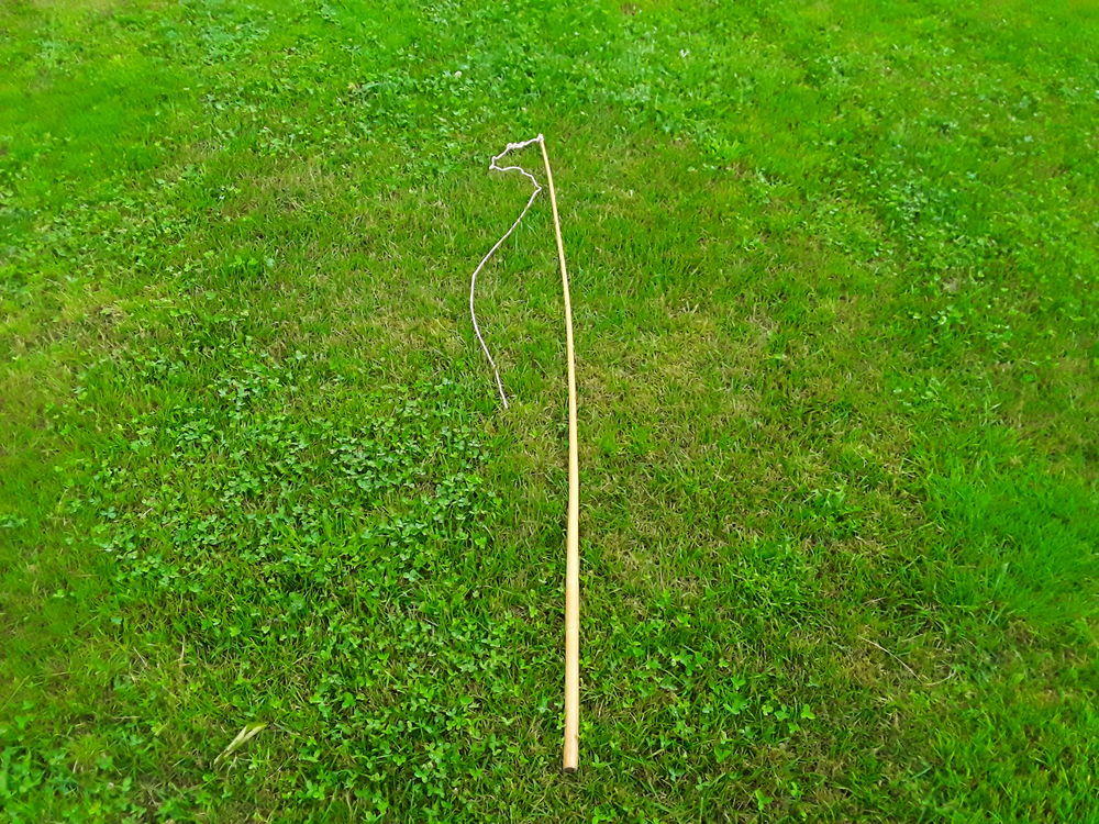 Fouet attelage Sports