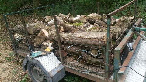 bois de chauffage 80 Colmar (68)