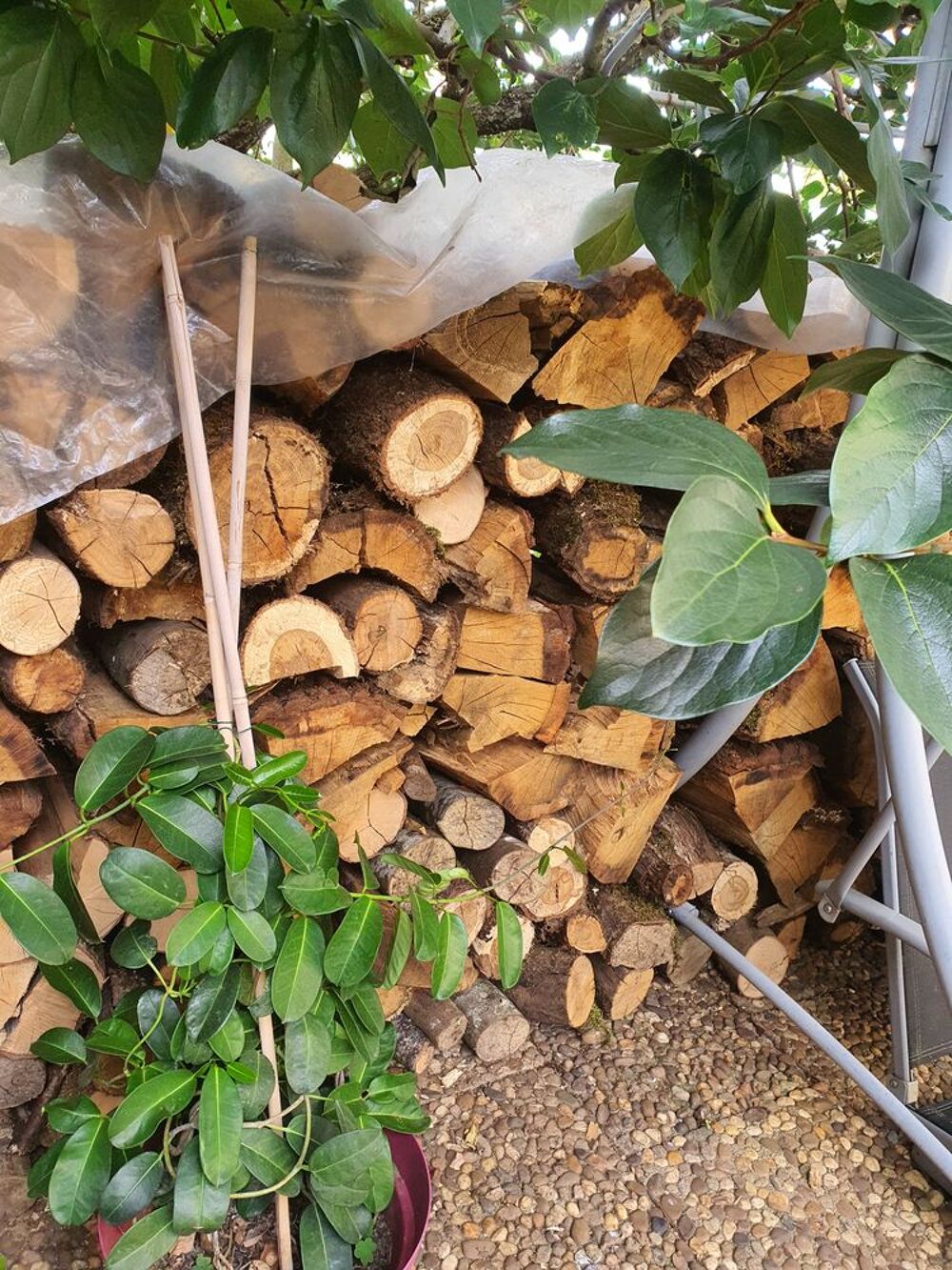 Bois de chauffage Jardin