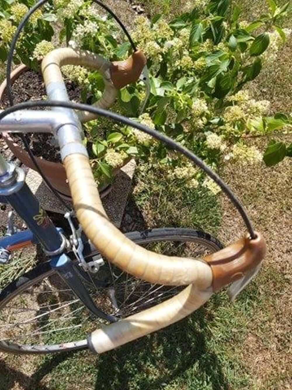 VELO HOMME Vélos