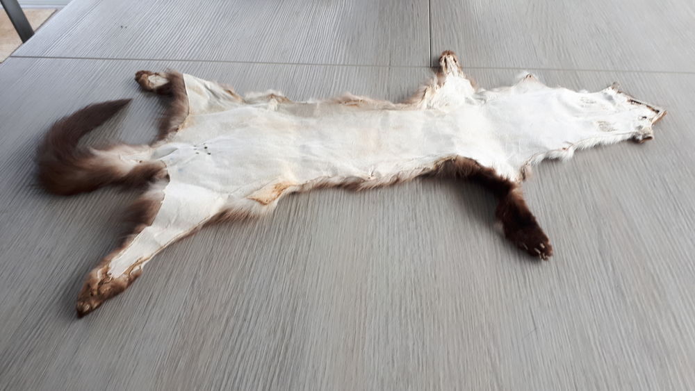 deux peaux de vison en parfait &eacute;tat Vêtements