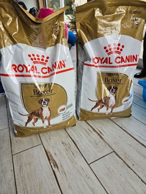 lot de 2 sacs de croquettes pour BOXER royal canin 30000 Nîmes