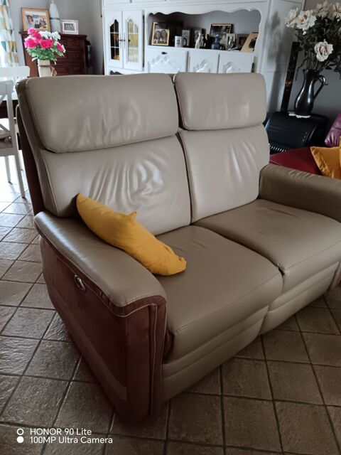 canap� relax �lectrique 2 places 
120 Cormelles-le-Royal (14)