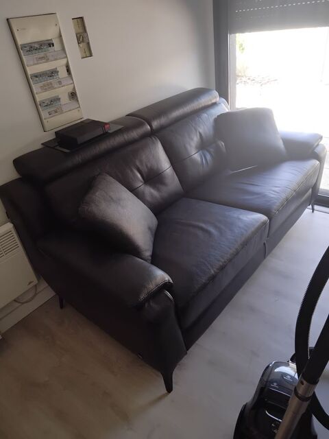 Canap cuir 300 Vendres (34)