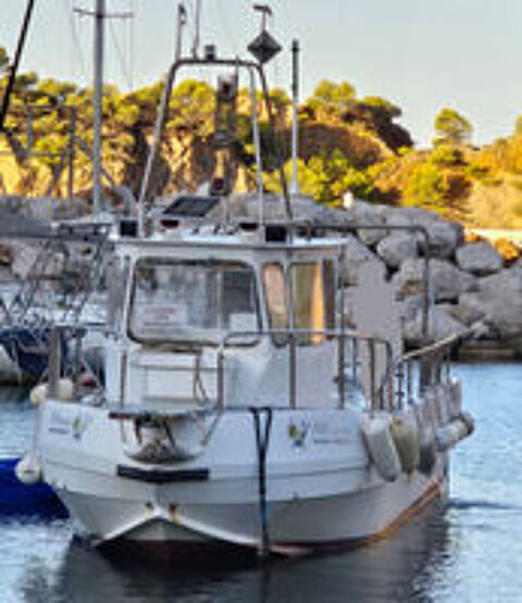 Bateau de travail 1999 occasion 13820 Ensu&egrave;s-la-Redonne